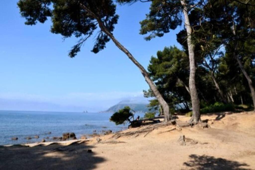 Studio Zen Sud Plage A Pied Pin Rolland Sablettes Saint-Elme Exterior foto